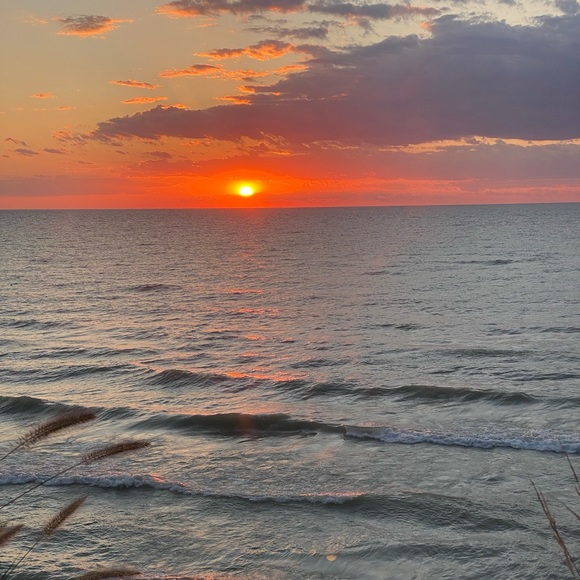 Meet your Posher, Malia - Picture 1 of 1